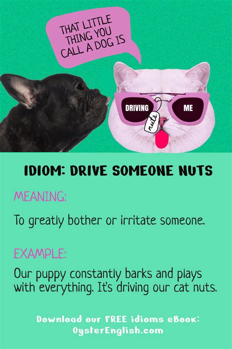 idiom drive someone nuts meaning and examples