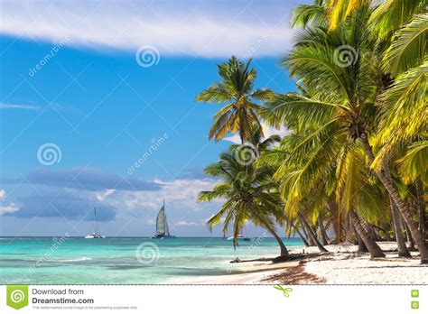 Landscape Of Paradise Tropical Island Beach And Catamarans