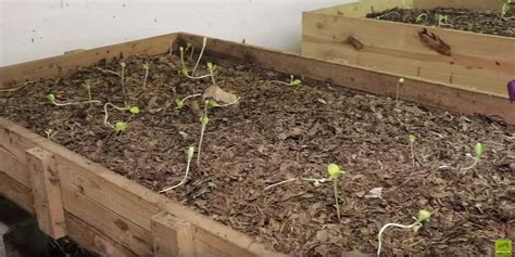Tour A Commercial Worm Farm The Sustainability Box