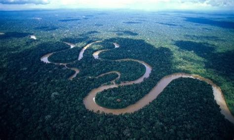 10 interesting amazon river facts my interesting facts