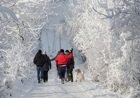 Check spelling or type a new query. Parco Oglio Nord (Orzinuovi): AGGIORNATO 2021 - tutto ...