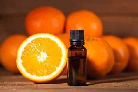 The Essential Oil That Started It All Doterra Wild Orange • Simple