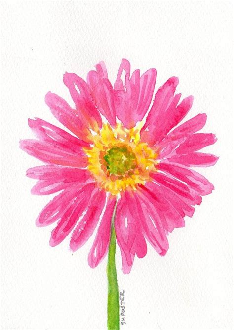 Pink Painting Gerbera Daisy X Original Watercolor Etsy Daisy