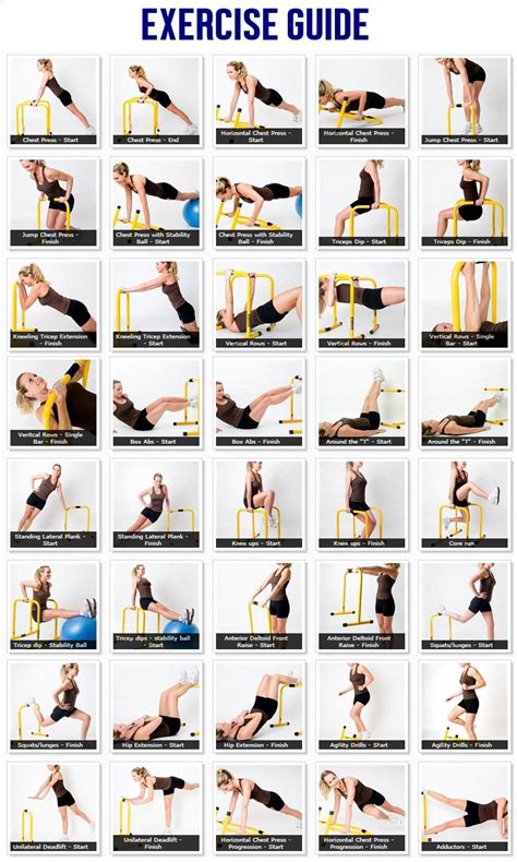 All You Can Do Lebert Equalizer Workout Bar Workout Parallettes Workouts Workout Routine