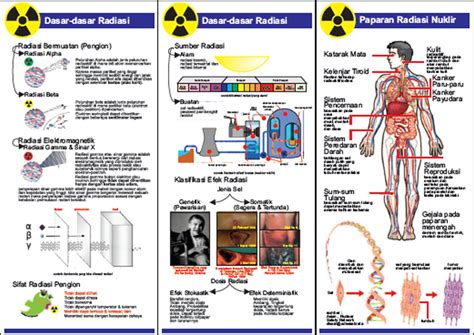 Dosis Serap Dan Bahaya Radiasi ~ Dunia Fisika Kita