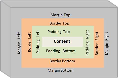 The Css Box Model Explained With Examples Vrogue