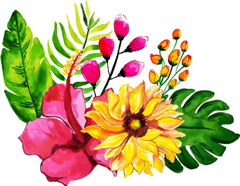 Free Png Downloads Floral Plants Products Flowers Plant Flower