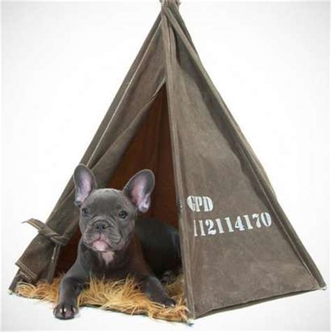 Search our extensive list of dogs, cats and other pets available near you. Canine Camper Beds : pet tent