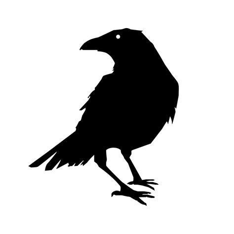 The Raven Crow Common Raven Clip Art Crow Png Download 10001000