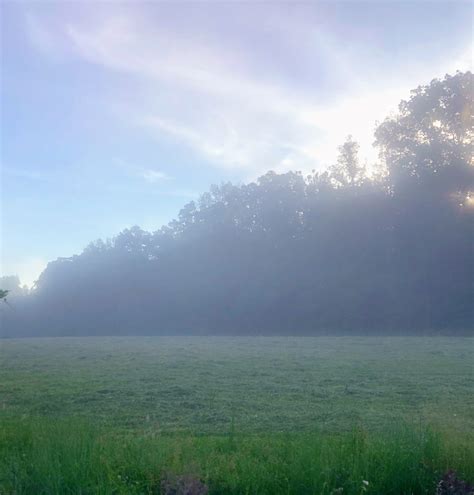 Early Morning Fog Over My Farm The Martha Stewart Blog