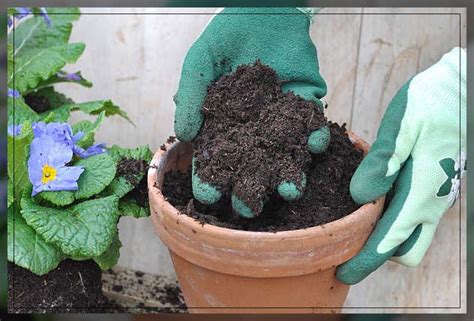 Loamy Soil How To Use It For Gardening Al Ardh Alkhadra