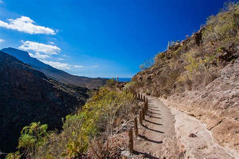 Would you like to add this location to your favourites? Weather Averages in Tenerife, Canaries | June 2021/2022