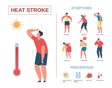 Heatstroke Infographic Poster Heat Stroke Symptoms And Prevention 69225 The Best Porn Website
