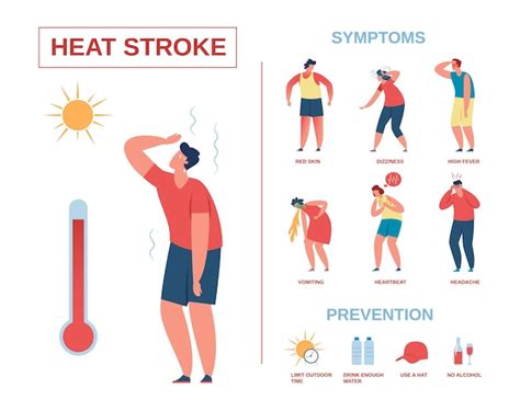 infographic heat exhaustion or heat stroke a guide