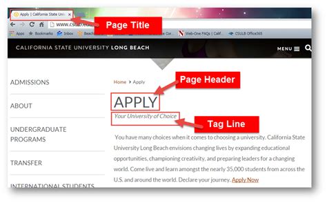 Creating and Editing Web Pages - Training and Support | California State University, Long Beach