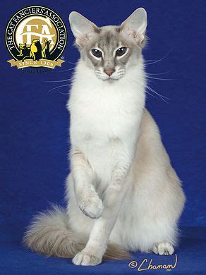 The photographed breeds fill the first 155 pages. Balinese Grands - The Cat Fanciers' Association, Inc