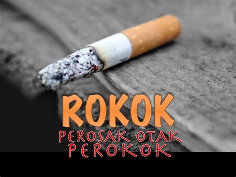 Dari segi kesihatan, rokok mendatangkan kesan buruk terhadap kesihatan tubuh badan disebabkan oleh bahan kimia yang berbahaya dalam asap rokok. TABIAT MEROKOK BERI KESAN BURUK KEPADA OTAK PEROKOK ...