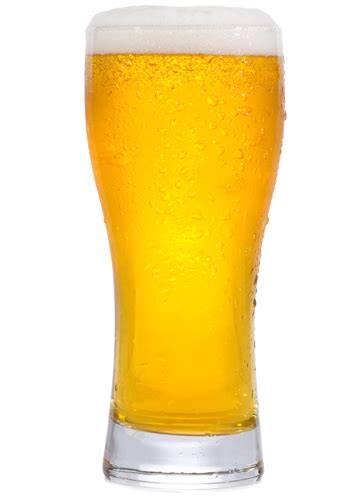 beer png 2 png all png all