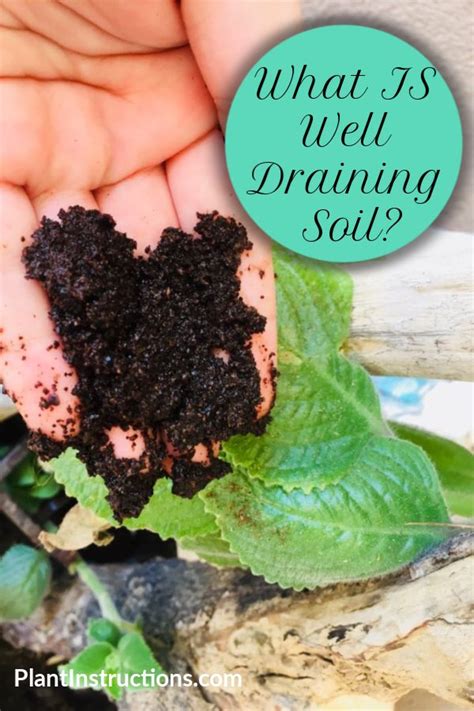 Garden soil preparation is an essential first step to creating a successful vegetable garden or flower bed. What is Well Draining Soil? | Soil, Garden care, Household ...