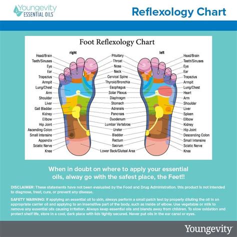 Pin By Laneece Cluff On Good Things To Know Reflexology Chart