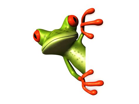 Funny Tree Frog Pictures Clipart Best