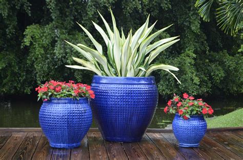 Our spectacular hand glazed ceramic orchid pots are available in three generous diameters, 6, 8 and 10. Pin on New Trends in Garden Containers