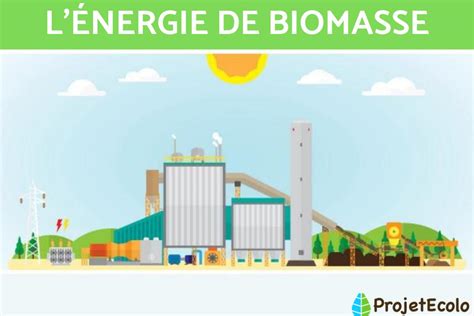 L Nergie Biomasse D Finition Avantages Et Inconv Nients