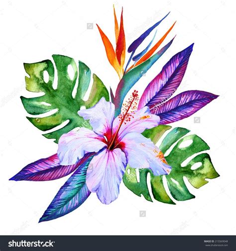 See more ideas about tattoos, tropical flower tattoos, body art tattoos. Tropical Flowers In Watercolor, Hibiscus, Plumeria ...