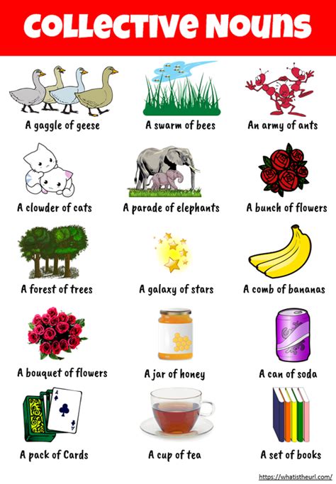 Collective Nouns Chart With Images Collective Nouns Nouns For Kids