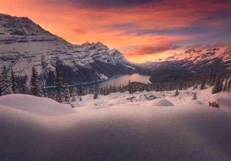Winter Wonderland At Peyto Lake Banff National Park Alberta Oc