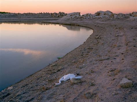Extraordinary Landscape Photography Of The Mojave Desert Plain Magazine