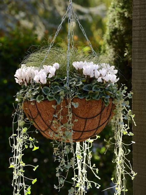 20 Gorgeous Fall Hanging Basket Ideas Hgtv