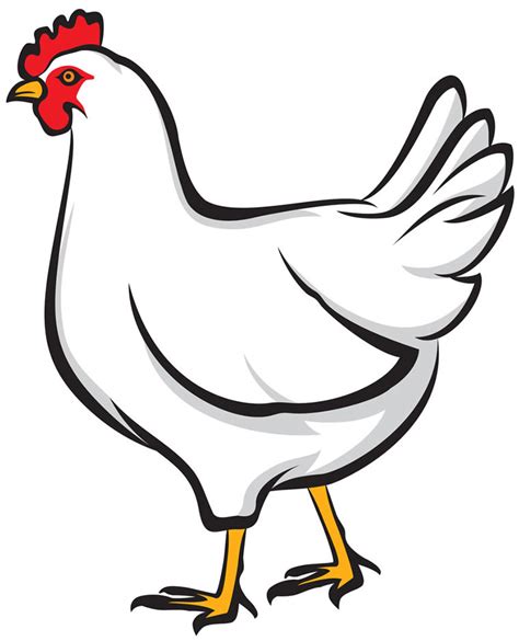 Free Chicken Vector Download Free Chicken Vector Png Images Free