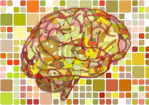 Brain Based Organizing — The Practical Sort