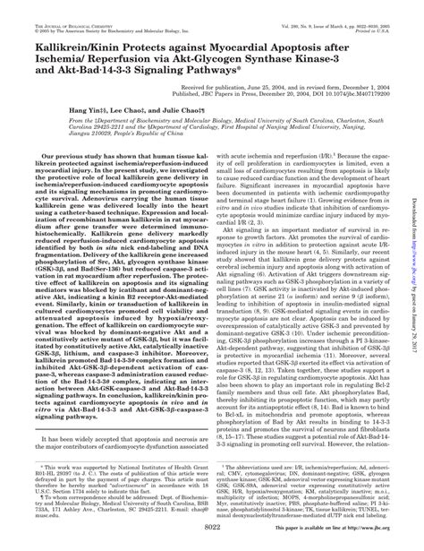 PDF Kallikrein Kinin Protects Against Myocardial Apoptosis After