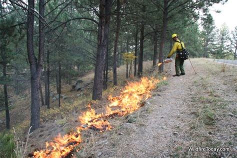 American Elk Prescribed Fire At Wind Cave Wildfire Today
