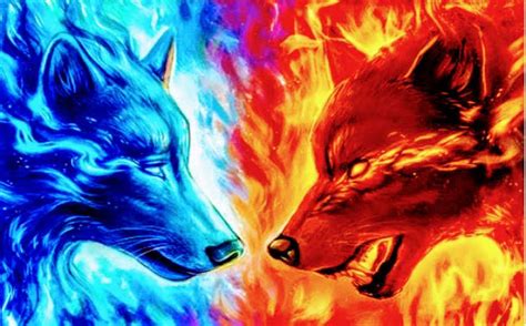 Ice Wolf And Fire Wolf Chrome Theme Themebeta
