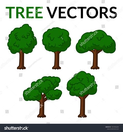 Five Different Types Trees Vectors Stock Vector Royalty Free