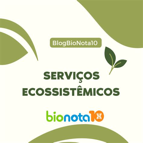 Serviços Ecossistêmicos Que São Aqueles Benefícios Diretos E Indiretos