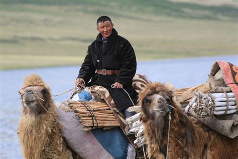 Why Is Everyone Talking About Mongolia And What Do You Do There
