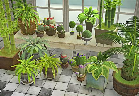 Mod The Sims Potted Plants Collection All Plants Types Of Plants