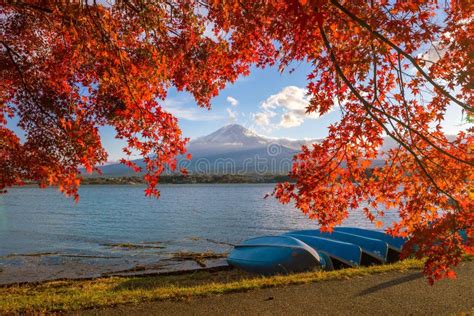 Mt Fuji In Autumn With Red Maple Leaves Stock Photo Image Of Japan