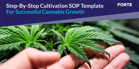 Cultivation Sop Template For Successful Cannabis Growth Forte