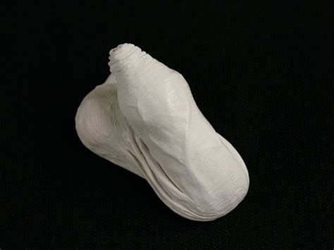 Flaccid Penis 2 Erotic Art Plaster Cast Penis Sculpture Etsy