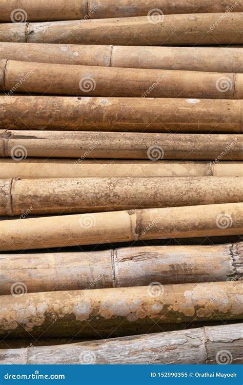 Brown Bamboo Pile Prepare For Construction Building Materials Stock