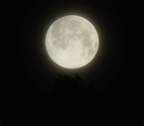 Sign up today for inspiring articles, tips & weather forecasts! Supermoon, July 12, 3:16 a.m. | Today's Image | EarthSky