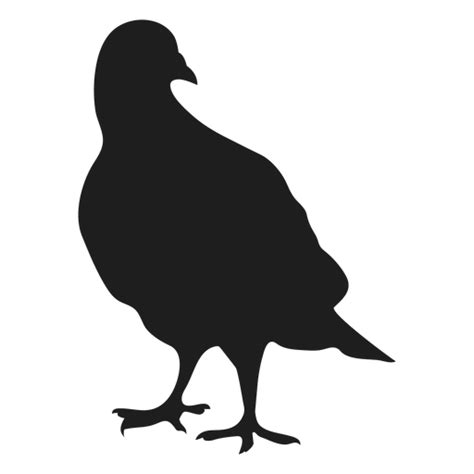 Standing Pigeons Silhouette Transparent Png And Svg Vector File