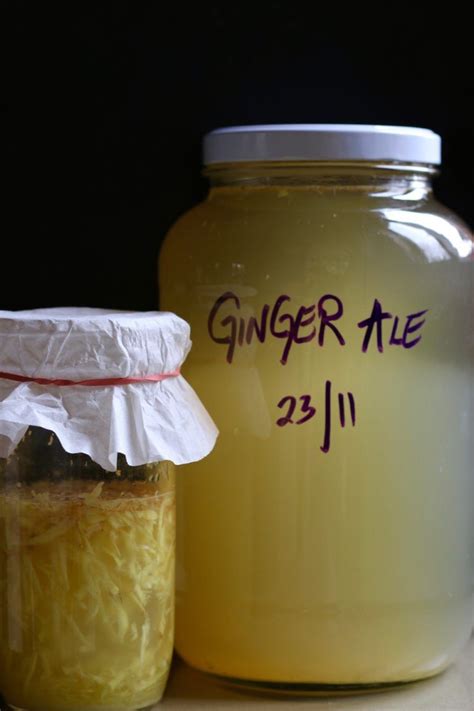 Homemade Ginger Beer Homemade Ginger Beer Ginger Beer Recipe