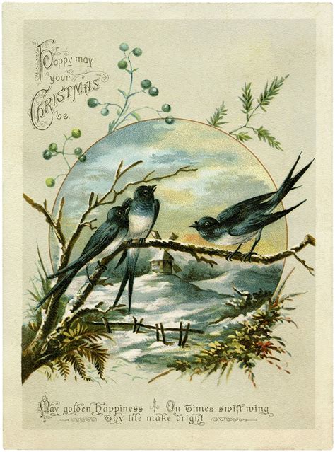 Antique Christmas Birds Image So Charming The