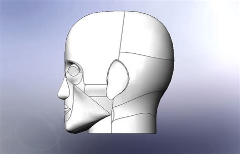 Human Head Cad 3d Model 3d Printable Cgtrader